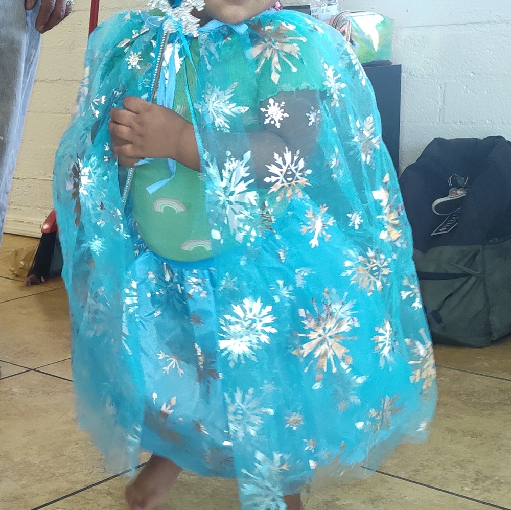 Kids Frozen Princess Costume - Blue